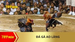 Giải Đá Gà Ao Làng Vô Cùng Hấp Dẫn Tại Nhà Cái 789Win