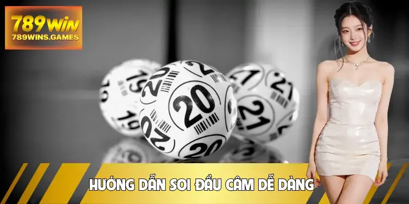 bac-nho-dau-cam-huong-dan