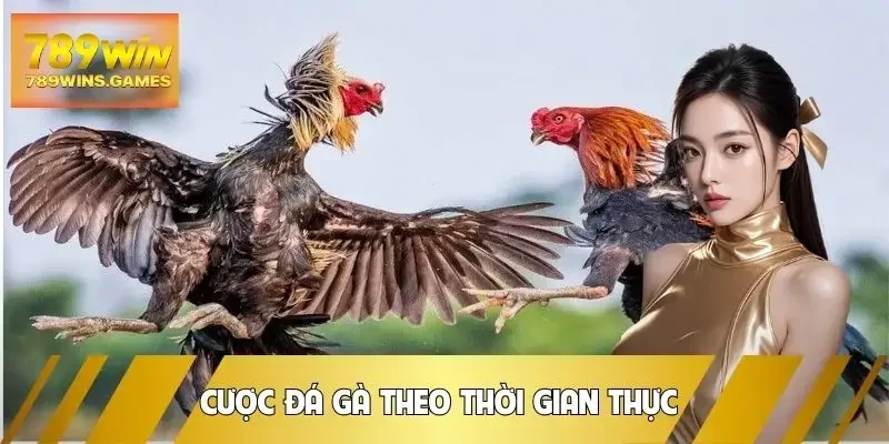 da-ga-truc-tiep-cuoc-theo-thoi-gian-thuc