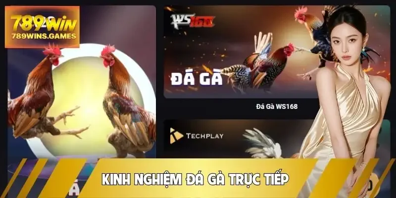 da-ga-truc-tiep-kinh-nghiem