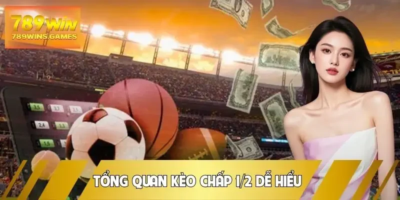 keo-chap-1-2-tim-hieu-tong-quan