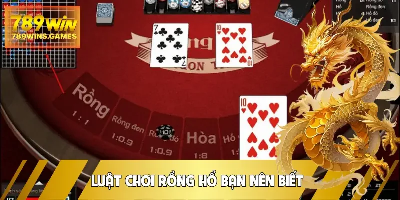 rong-ho-luat-choi