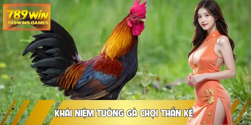 tuong-ga-choi-than-ke-khai-niem